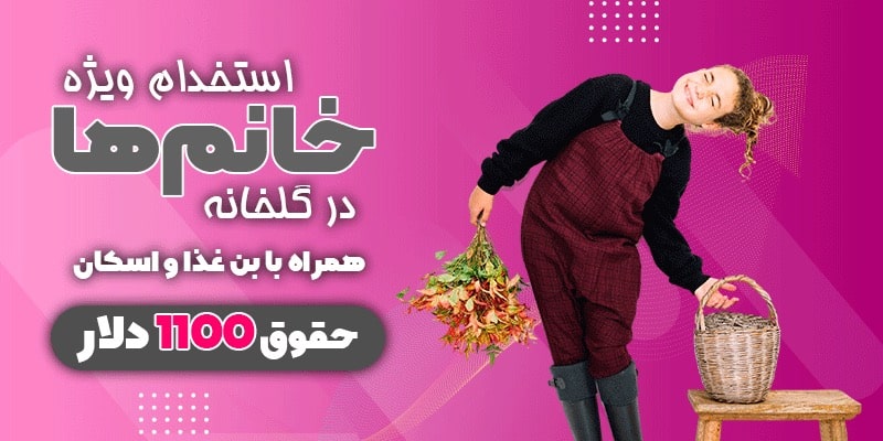 استخدام در گلخانه
